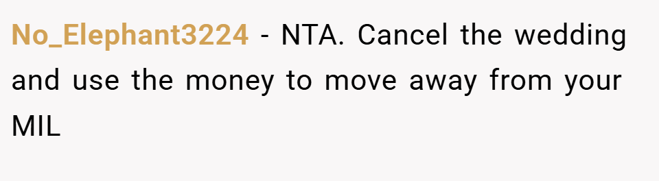 No_Elephant3224 − NTA. Cancel the wedding and use the money to move away from your MIL