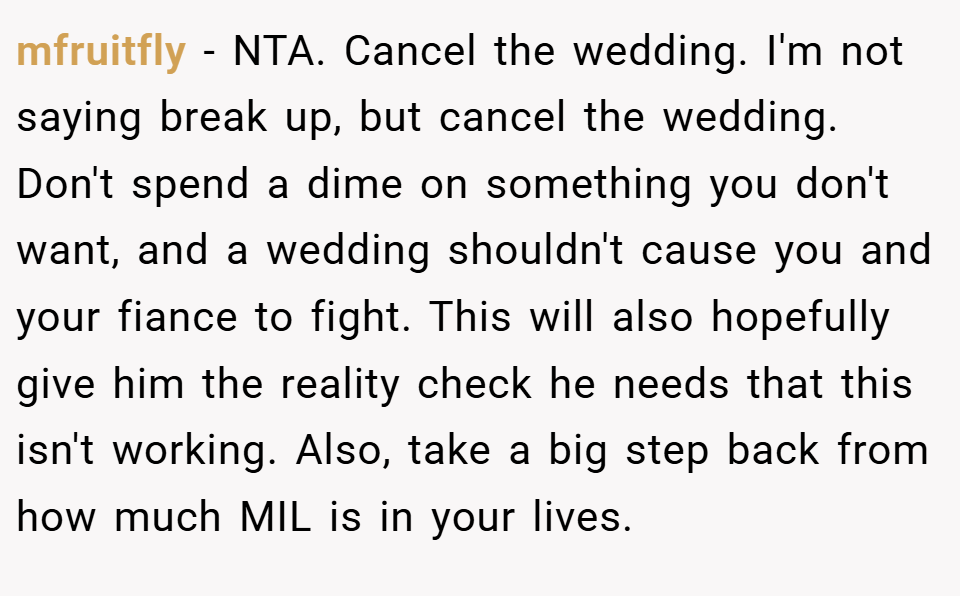 mfruitfly − NTA. Cancel the wedding. I'm not saying break up, but cancel the wedding. Don't spend a dime on something you don't want, and a wedding shouldn't cause you and your fiance to fight. This will also hopefully give him the reality check he needs that this isn't working. Also, take a big step back from how much MIL is in your lives.