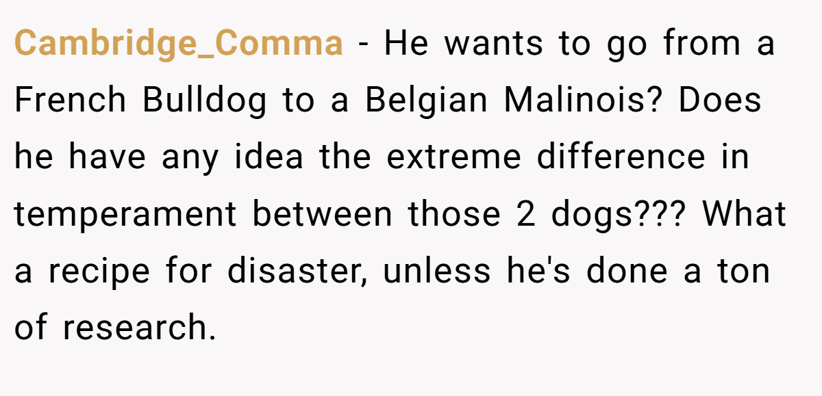 Cambridge_Comma − He wants to go from a French Bulldog to a Belgian Malinois? Does he have any idea the extreme difference in temperament between those 2 dogs??? What a recipe for disaster, unless he's done a ton of research.