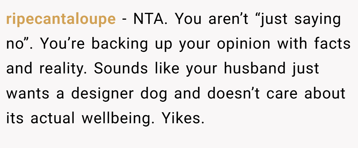 ripecantaloupe − NTA. You aren’t “just saying no”. You’re backing up your opinion with facts and reality. Sounds like your husband just wants a designer dog and doesn’t care about its actual wellbeing. Yikes.