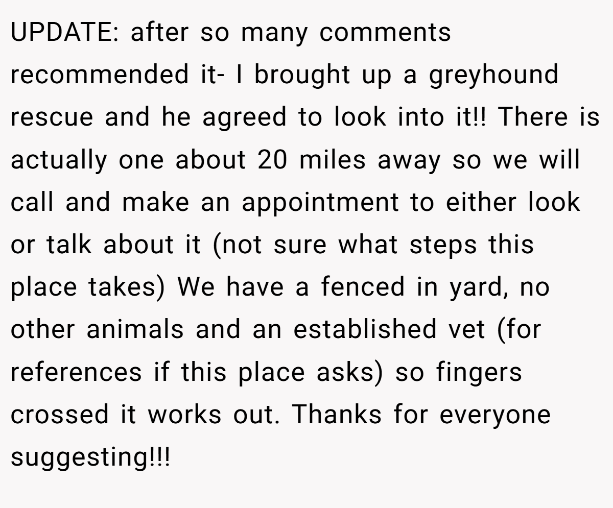 UPDATE: after so many comments recommended it- I brought up a greyhound rescue and he agreed to look into it!! There is actually one about 20 miles away so we will call and make an appointment to either look or talk about it (not sure what steps this place takes) We have a fenced in yard, no other animals and an established vet (for references if this place asks) so fingers crossed it works out. Thanks for everyone suggesting!!!