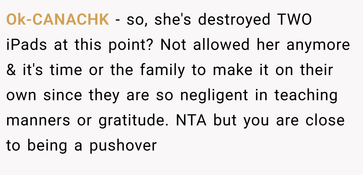 Ok-CANACHK − so, she's destroyed TWO iPads at this point? Not allowed her anymore & it's time or the family to make it on their own since they are so negligent in teaching manners or gratitude. NTA but you are close to being a pushover