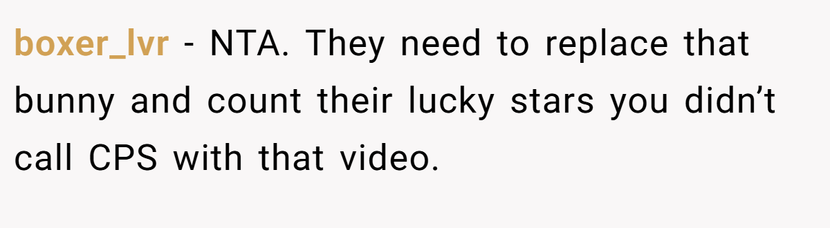 boxer_lvr − NTA. They need to replace that bunny and count their lucky stars you didn’t call CPS with that video.