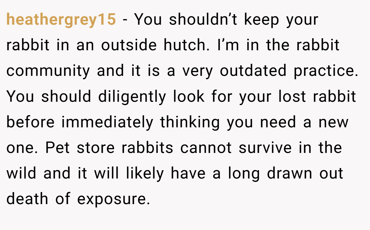 heathergrey15 − You shouldn’t keep your rabbit in an outside hutch. I’m in the rabbit community and it is a very outdated practice. You should diligently look for your lost rabbit before immediately thinking you need a new one. Pet store rabbits cannot survive in the wild and it will likely have a long drawn out death of exposure.