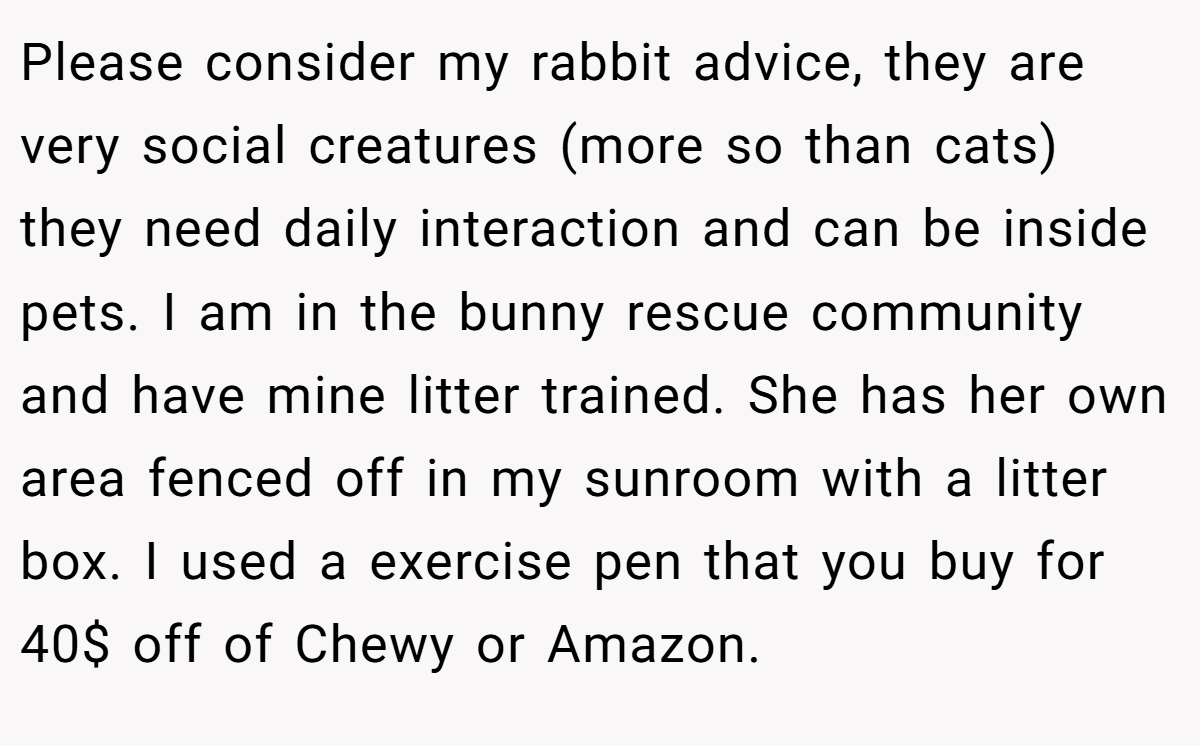 Please consider my rabbit advice, they are very social creatures (more so than cats) they need daily interaction and can be inside pets. I am in the bunny rescue community and have mine litter trained. She has her own area fenced off in my sunroom with a litter box. I used a exercise pen that you buy for 40$ off of Chewy or Amazon.