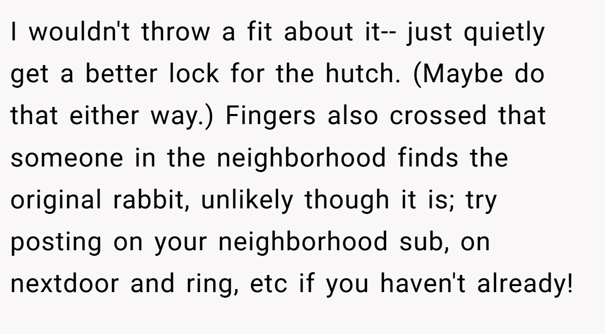 I wouldn't throw a fit about it-- just quietly get a better lock for the hutch. (Maybe do that either way.) Fingers also crossed that someone in the neighborhood finds the original rabbit, unlikely though it is; try posting on your neighborhood sub, on nextdoor and ring, etc if you haven't already!