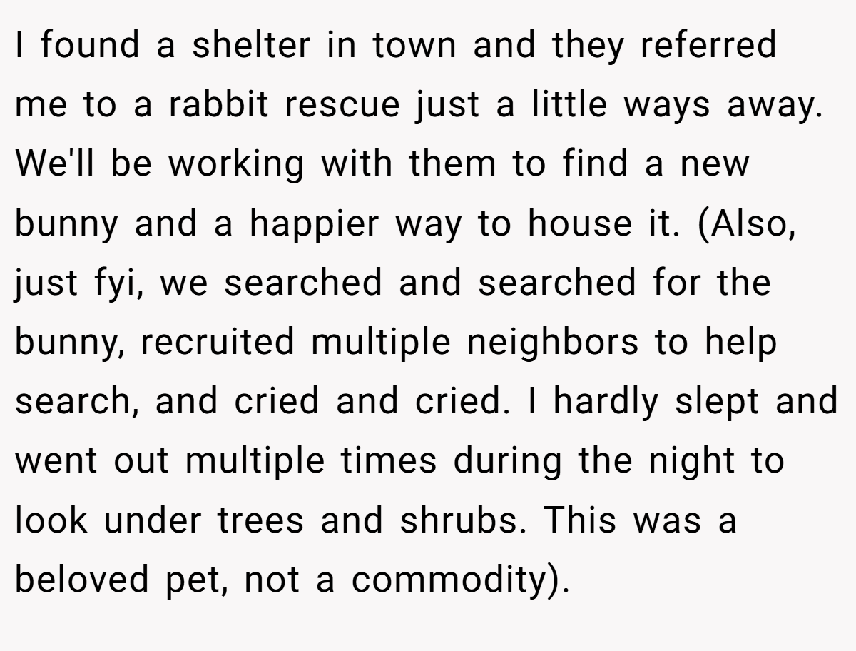 I found a shelter in town and they referred me to a rabbit rescue just a little ways away. We'll be working with them to find a new bunny and a happier way to house it. (Also, just fyi, we searched and searched for the bunny, recruited multiple neighbors to help search, and cried and cried. I hardly slept and went out multiple times during the night to look under trees and shrubs. This was a beloved pet, not a commodity).