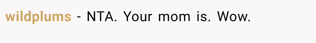 wildplums − NTA. Your mom is. Wow.