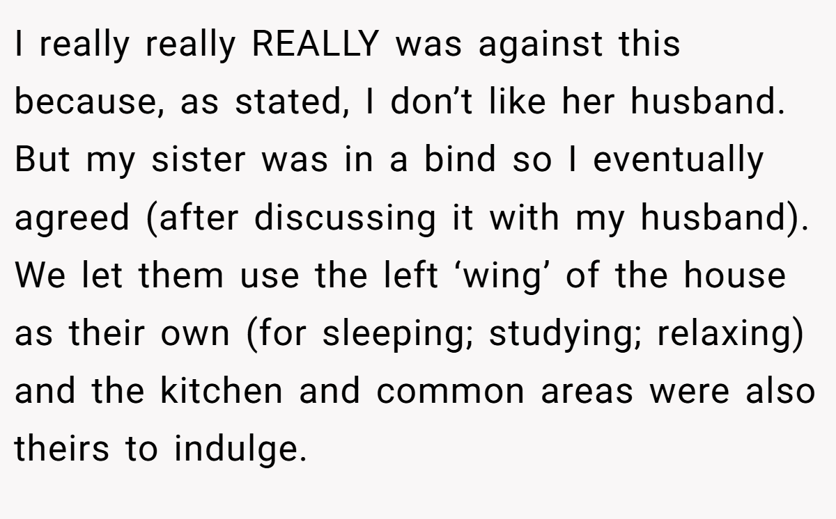I really really REALLY was against this because, as stated, I don’t like her husband. But my sister was in a bind so I eventually agreed (after discussing it with my husband). We let them use the left ‘wing’ of the house as their own (for sleeping; studying; relaxing) and the kitchen and common areas were also theirs to indulge.