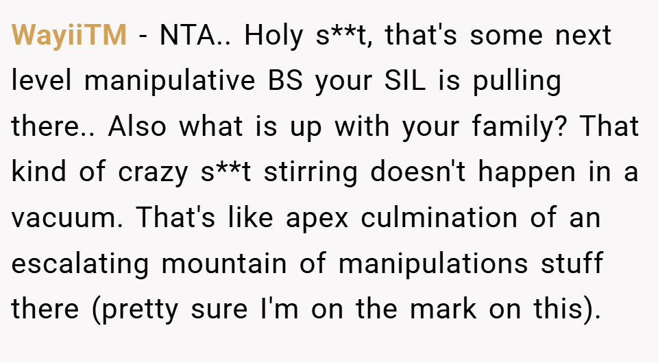 WayiiTM − NTA.. Holy s**t, that's some next level manipulative BS your SIL is pulling there.. Also what is up with your family? That kind of crazy s**t stirring doesn't happen in a vacuum. That's like apex culmination of an escalating mountain of manipulations stuff there (pretty sure I'm on the mark on this).