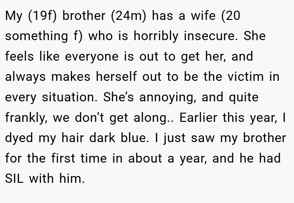 My (19f) brother (24m) has a wife (20 something f) who is horribly insecure. She feels like everyone is out to get her, and always makes herself out to be the victim in every situation. She’s annoying, and quite frankly, we don’t get along.. Earlier this year, I dyed my hair dark blue. I just saw my brother for the first time in about a year, and he had SIL with him.