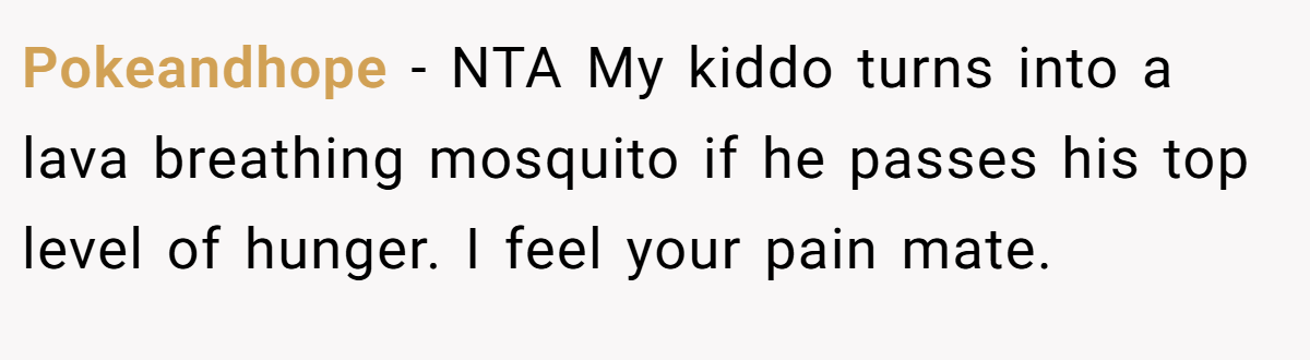 Pokeandhope − NTA My kiddo turns into a lava breathing mosquito if he passes his top level of hunger. I feel your pain mate.