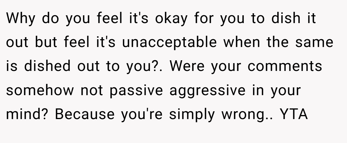 Why do you feel it's okay for you to dish it out but feel it's unacceptable when the same is dished out to you?. Were your comments somehow not passive aggressive in your mind? Because you're simply wrong.. YTA