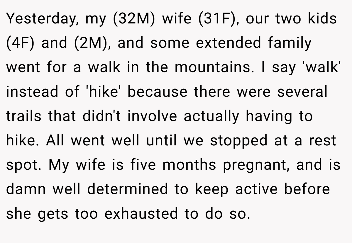 Yesterday, my (32M) wife (31F), our two kids (4F) and (2M), and some extended family went for a walk in the mountains. I say 'walk' instead of 'hike' because there were several trails that didn't involve actually having to hike. All went well until we stopped at a rest spot. My wife is five months pregnant, and is damn well determined to keep active before she gets too exhausted to do so.