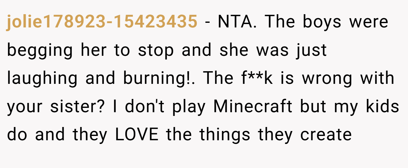jolie178923-15423435 - NTA. The boys were begging her to stop and she was just laughing and burning!. The f**k is wrong with your sister? I don't play Minecraft but my kids do and they LOVE the things they create