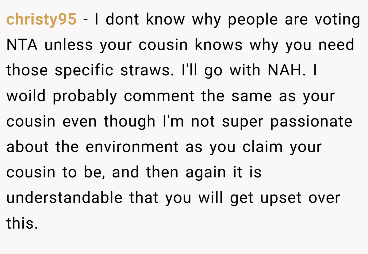christy95 − I dont know why people are voting NTA unless your cousin knows why you need those specific straws. I'll go with NAH. I woild probably comment the same as your cousin even though I'm not super passionate about the environment as you claim your cousin to be, and then again it is understandable that you will get upset over this.