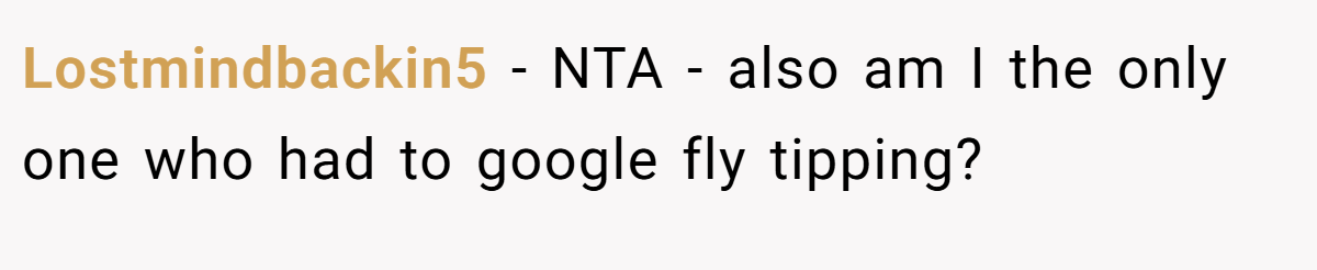 Lostmindbackin5 − NTA - also am I the only one who had to google fly tipping?
