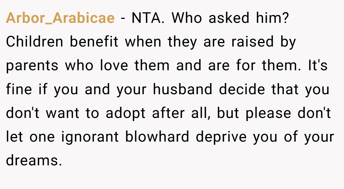 Arbor_Arabicae − NTA. Who asked him? Children benefit when they are raised by parents who love them and are for them. It's fine if you and your husband decide that you don't want to adopt after all, but please don't let one ignorant blowhard deprive you of your dreams.