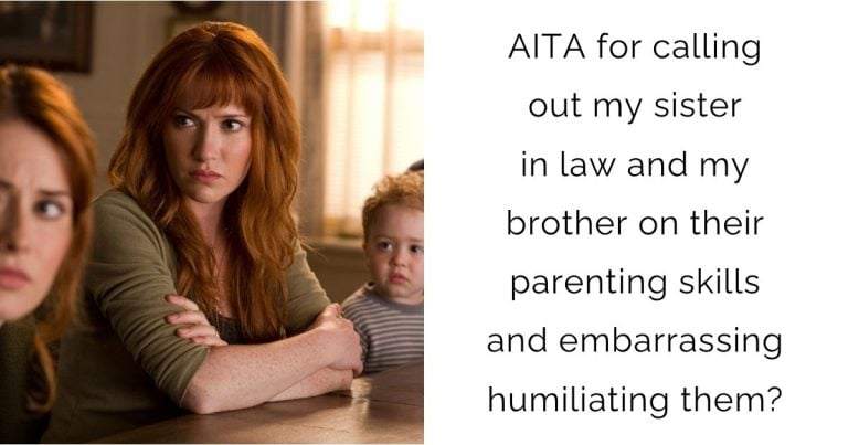 AITA for calling out my sister in law and my brother on their parenting skills and embarrassing humiliating them?
