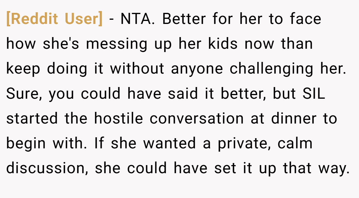 [Reddit User] − NTA. Better for her to face how she's messing up her kids now than keep doing it without anyone challenging her. Sure, you could have said it better, but SIL started the hostile conversation at dinner to begin with. If she wanted a private, calm discussion, she could have set it up that way.