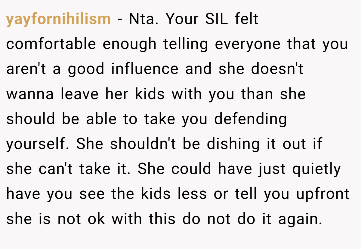 yayfornihilism − Nta. Your SIL felt comfortable enough telling everyone that you aren't a good influence and she doesn't wanna leave her kids with you than she should be able to take you defending yourself. She shouldn't be dishing it out if she can't take it. She could have just quietly have you see the kids less or tell you upfront she is not ok with this do not do it again.