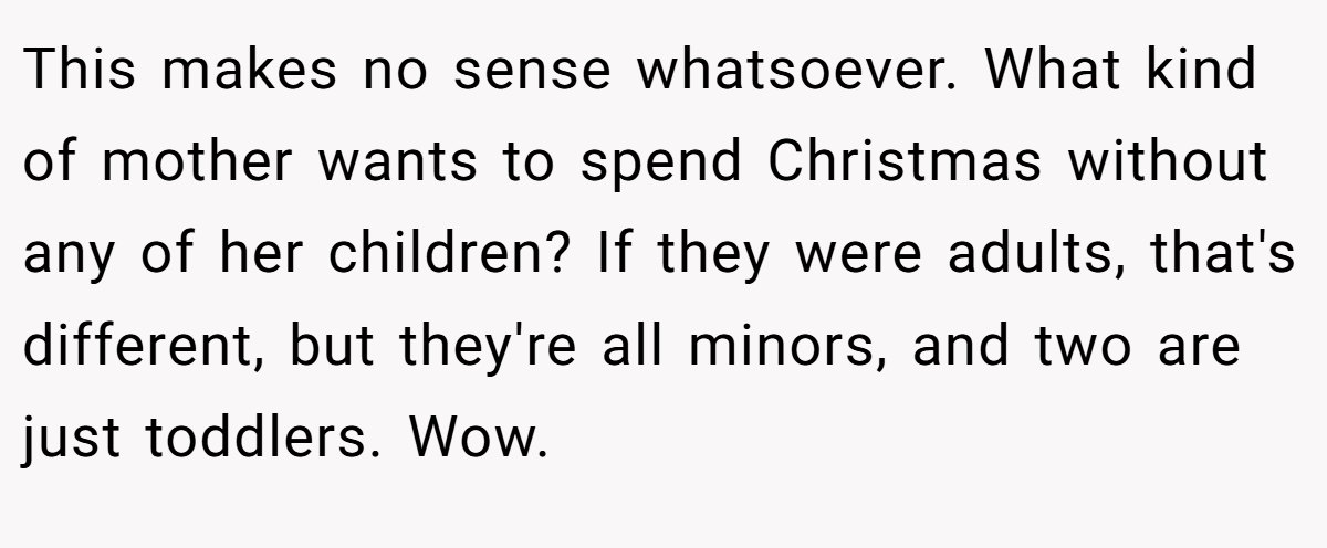 This makes no sense whatsoever. What kind of mother wants to spend Christmas without any of her children? If they were adults, that's different, but they're all minors, and two are just toddlers. Wow.