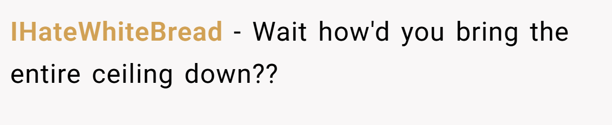 IHateWhiteBread − Wait how'd you bring the entire ceiling down??