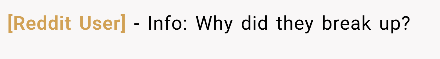 [Reddit User] − Info: Why did they break up?