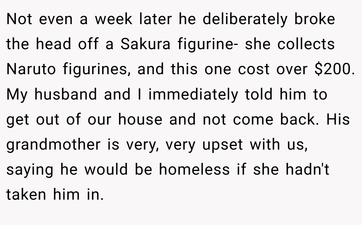 Not even a week later he deliberately broke the head off a Sakura figurine- she collects Naruto figurines, and this one cost over $200. My husband and I immediately told him to get out of our house and not come back. His grandmother is very, very upset with us, saying he would be homeless if she hadn't taken him in.