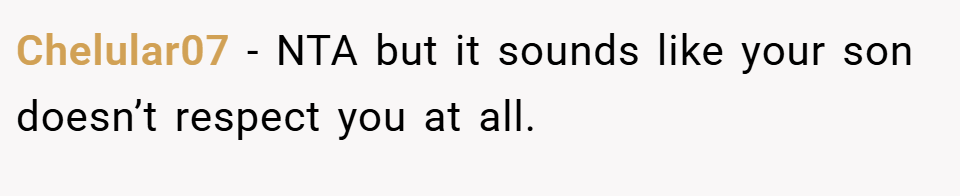 Chelular07 − NTA but it sounds like your son doesn’t respect you at all.