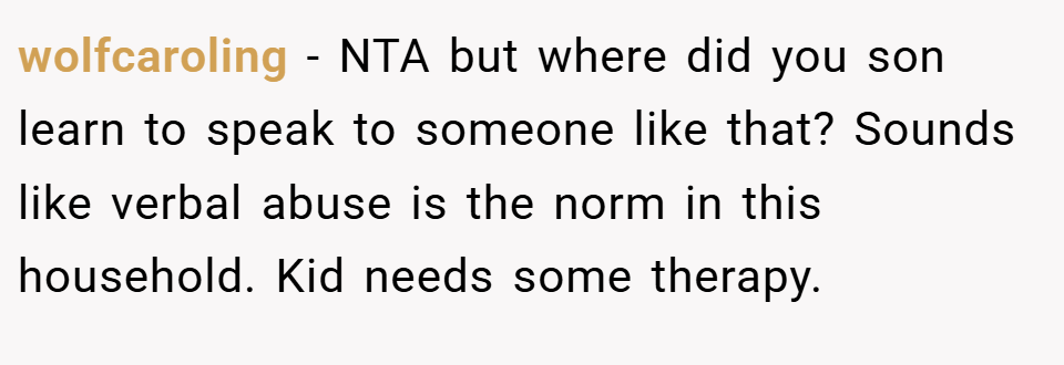 wolfcaroling − NTA but where did you son learn to speak to someone like that? Sounds like verbal abuse is the norm in this household. Kid needs some therapy.
