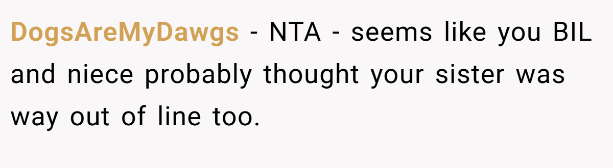 DogsAreMyDawgs − NTA - seems like you BIL and niece probably thought your sister was way out of line too.