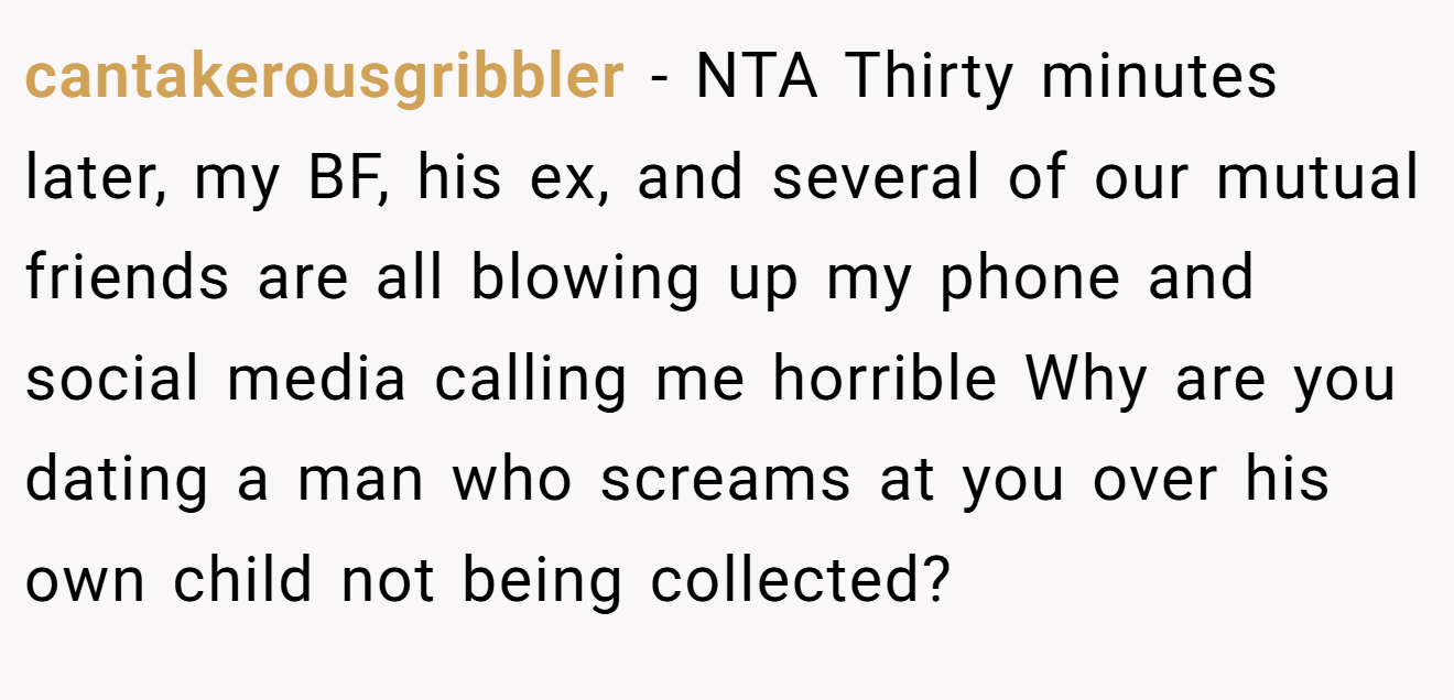 cantakerousgribbler - NTA Thirty minutes later, my BF, his ex, and several of our mutual friends are all blowing up my phone and social media calling me horrible Why are you dating a man who screams at you over his own child not being collected?
