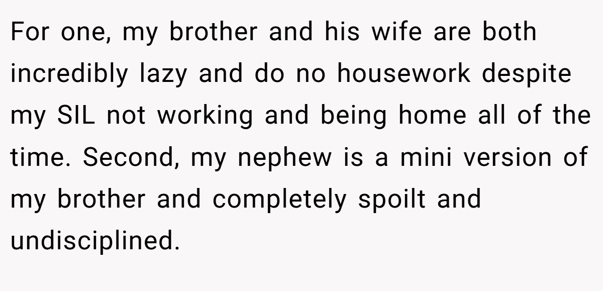 For one, my brother and his wife are both incredibly lazy and do no housework despite my SIL not working and being home all of the time. Second, my nephew is a mini version of my brother and completely spoilt and undisciplined.