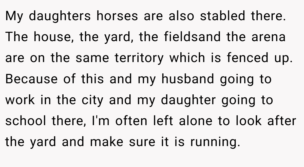 My daughters horses are also stabled there. The house, the yard, the fieldsand the arena are on the same territory which is fenced up. Because of this and my husband going to work in the city and my daughter going to school there, I'm often left alone to look after the yard and make sure it is running.