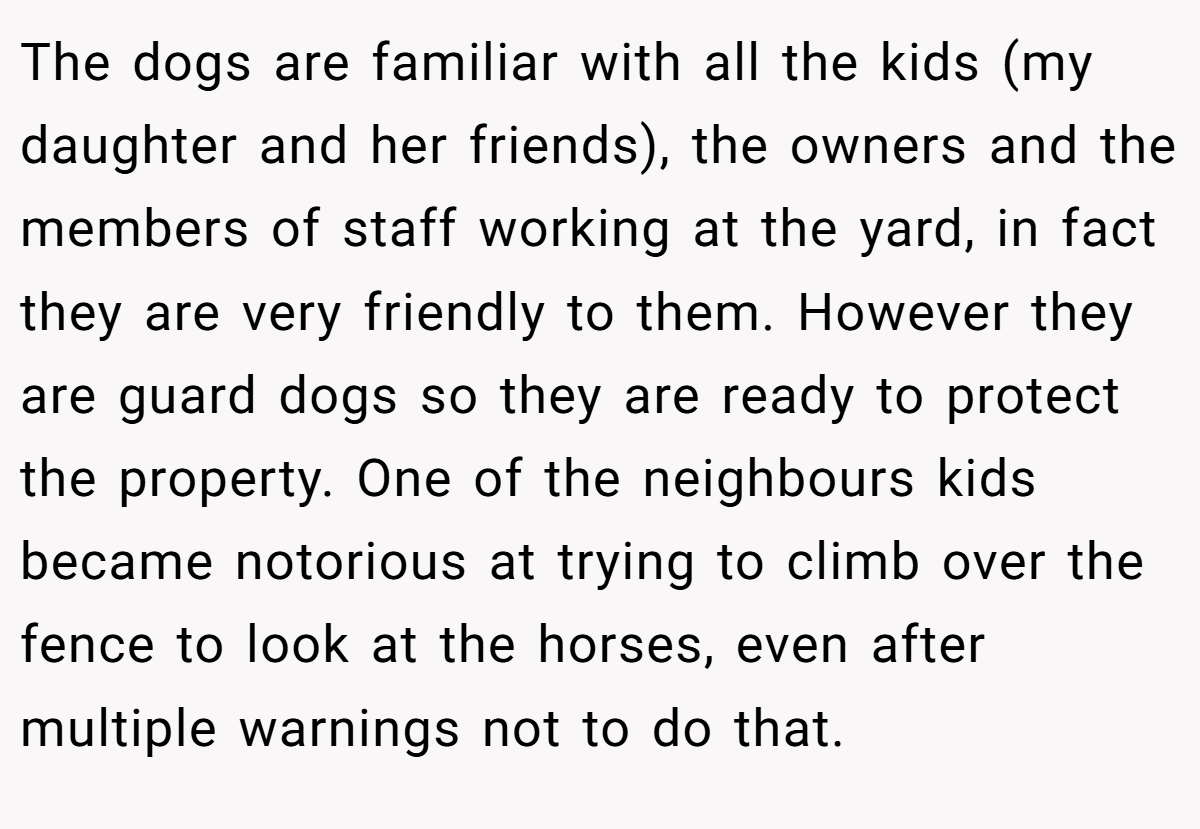 The dogs are familiar with all the kids (my daughter and her friends), the owners and the members of staff working at the yard, in fact they are very friendly to them. However they are guard dogs so they are ready to protect the property. One of the neighbours kids became notorious at trying to climb over the fence to look at the horses, even after multiple warnings not to do that.