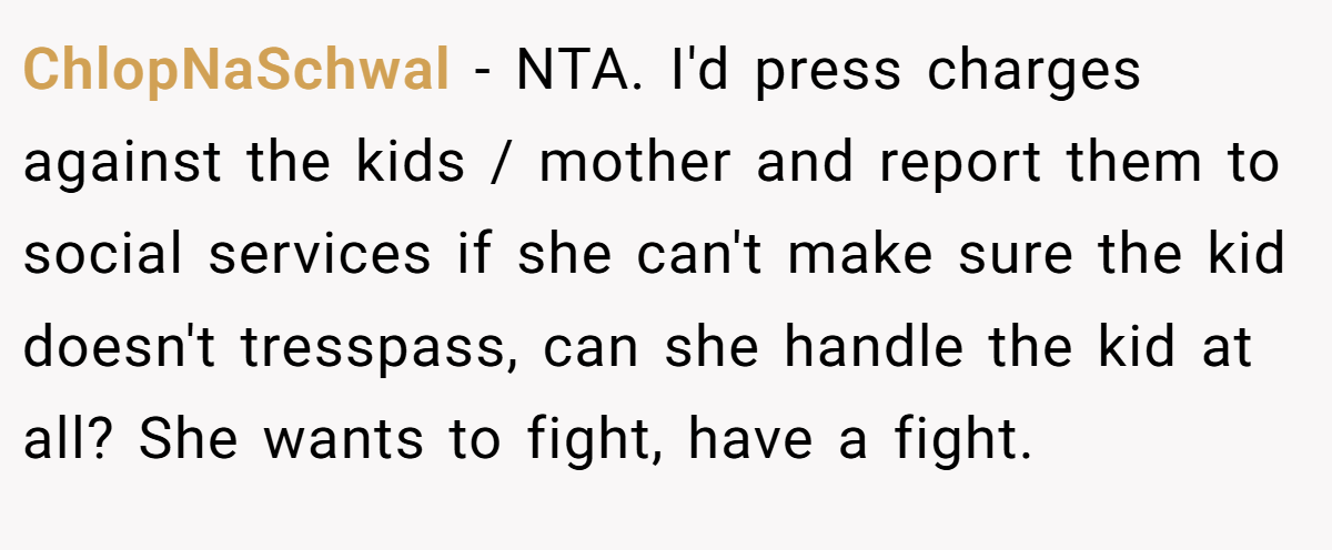 ChlopNaSchwal − NTA. I'd press charges against the kids / mother and report them to social services if she can't make sure the kid doesn't tresspass, can she handle the kid at all? She wants to fight, have a fight.
