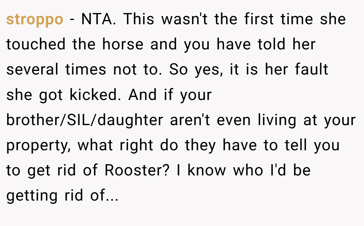stroppo − NTA. This wasn't the first time she touched the horse and you have told her several times not to. So yes, it is her fault she got kicked. And if your brother/SIL/daughter aren't even living at your property, what right do they have to tell you to get rid of Rooster? I know who I'd be getting rid of...