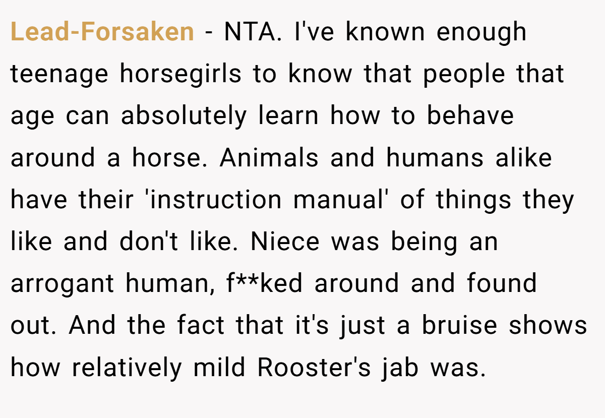 Lead-Forsaken − NTA. I've known enough teenage horsegirls to know that people that age can absolutely learn how to behave around a horse. Animals and humans alike have their 'instruction manual' of things they like and don't like. Niece was being an arrogant human, f**ked around and found out. And the fact that it's just a bruise shows how relatively mild Rooster's jab was.