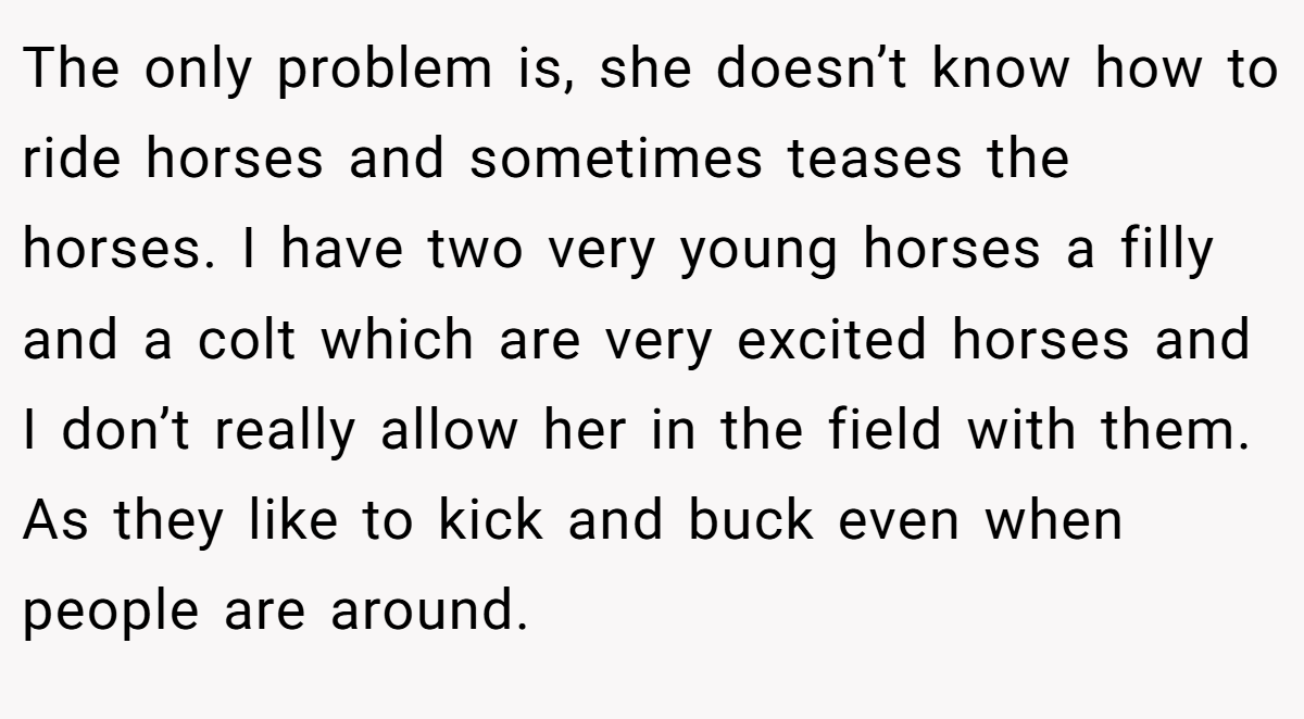 The only problem is, she doesn’t know how to ride horses and sometimes teases the horses. I have two very young horses a filly and a colt which are very excited horses and I don’t really allow her in the field with them. As they like to kick and buck even when people are around.