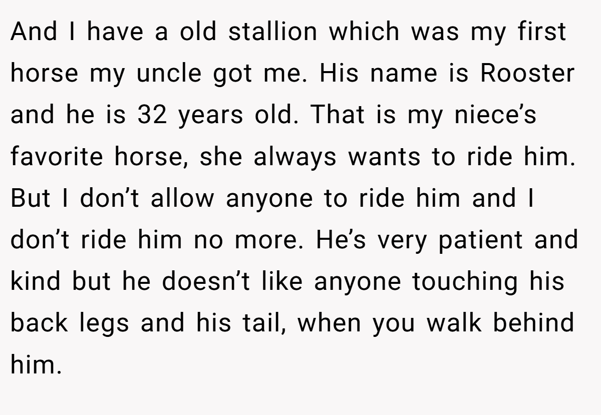 And I have a old stallion which was my first horse my uncle got me. His name is Rooster and he is 32 years old. That is my niece’s favorite horse, she always wants to ride him. But I don’t allow anyone to ride him and I don’t ride him no more. He’s very patient and kind but he doesn’t like anyone touching his back legs and his tail, when you walk behind him.