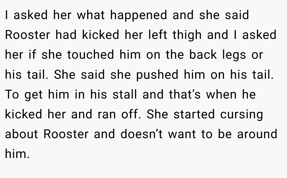 I asked her what happened and she said Rooster had kicked her left thigh and I asked her if she touched him on the back legs or his tail. She said she pushed him on his tail. To get him in his stall and that’s when he kicked her and ran off. She started cursing about Rooster and doesn’t want to be around him.
