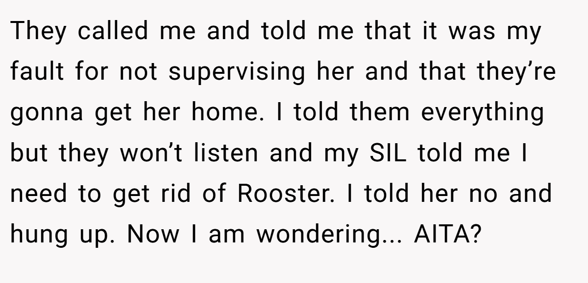 They called me and told me that it was my fault for not supervising her and that they’re gonna get her home. I told them everything but they won’t listen and my SIL told me I need to get rid of Rooster. I told her no and hung up. Now I am wondering... AITA?