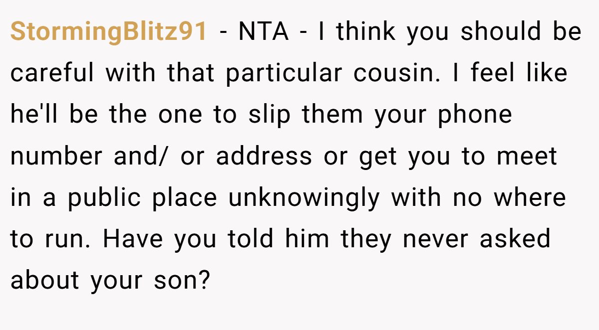 StormingBlitz91 − NTA - I think you should be careful with that particular cousin. I feel like he'll be the one to slip them your phone number and/ or address or get you to meet in a public place unknowingly with no where to run. Have you told him they never asked about your son?
