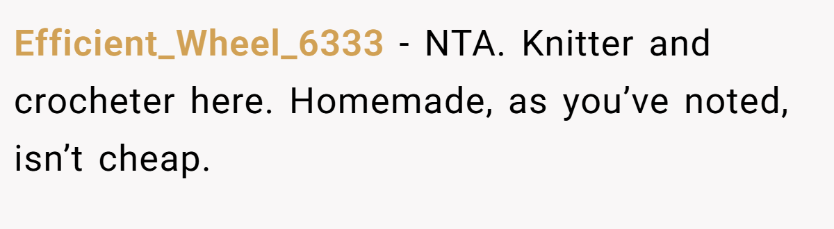 Efficient_Wheel_6333 − NTA. Knitter and crocheter here. Homemade, as you’ve noted, isn’t cheap.