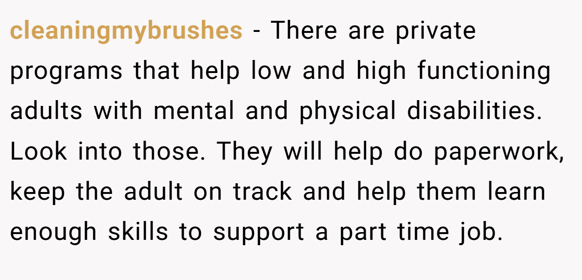 cleaningmybrushes − There are private programs that help low and high functioning adults with mental and physical disabilities. Look into those. They will help do paperwork, keep the adult on track and help them learn enough skills to support a part time job.