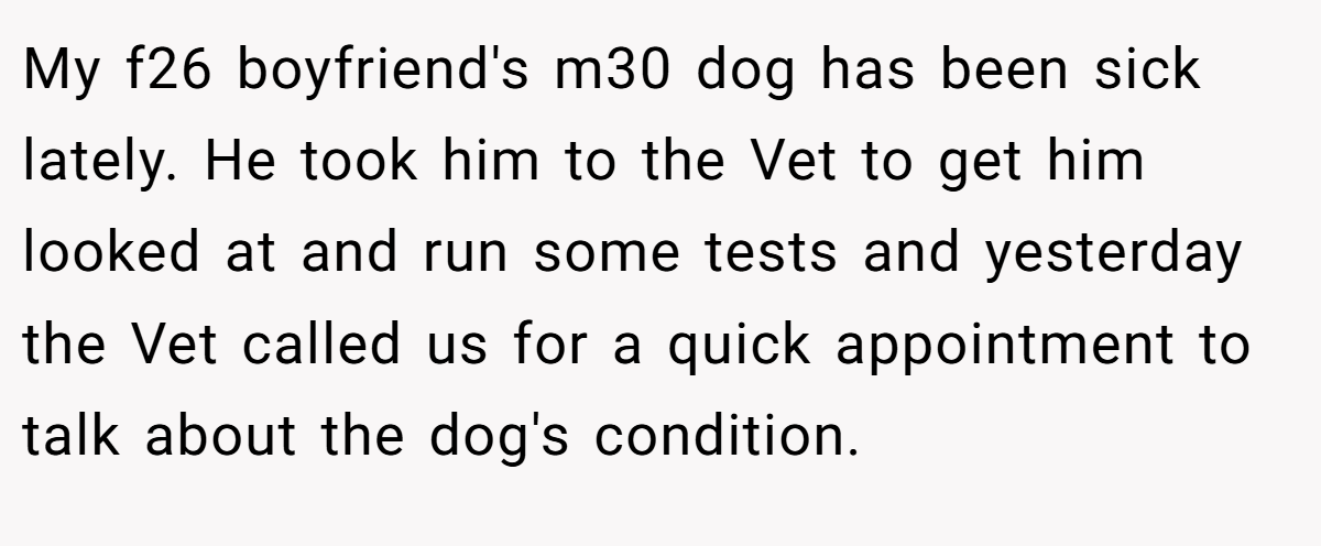 My f26 boyfriend's m30 dog has been sick lately. He took him to the Vet to get him looked at and run some tests and yesterday the Vet called us for a quick appointment to talk about the dog's condition.