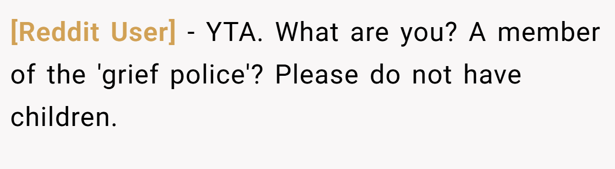 [Reddit User] − YTA. What are you? A member of the 'grief police'? Please do not have children.