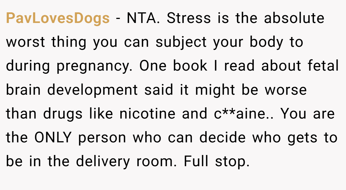 PavLovesDogs − NTA. Stress is the absolute worst thing you can subject your body to during pregnancy. One book I read about fetal brain development said it might be worse than drugs like nicotine and c**aine.. You are the ONLY person who can decide who gets to be in the delivery room. Full stop.