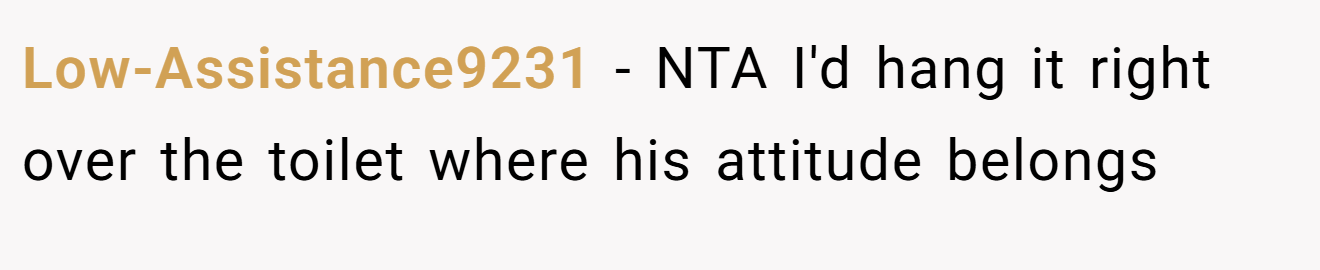 Low-Assistance9231 - NTA I'd hang it right over the toilet where his attitude belongs